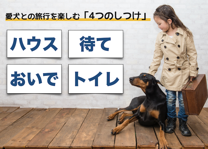 松本秀樹さんに聞く! 愛犬との旅行を楽しむための「4つのしつけ」