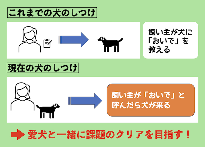 現在の犬のしつけ方とは? しつけの考え方と注意点