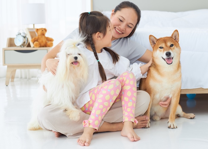 多頭飼いのしつけのコツは? 大切なのは先住犬へのしつけと対応