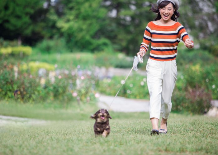 愛犬を飽きさせない散歩とは? ワクワク&ドキドキを仕掛ける方法