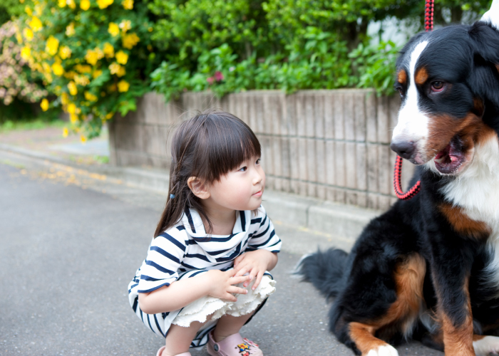 愛犬との散歩中に気を付けたいこと