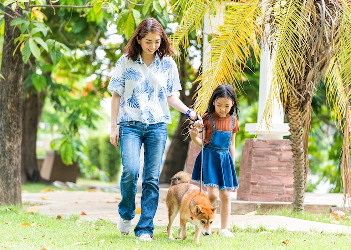 愛犬との旅行の心得＆お泊まり旅への4ステップ