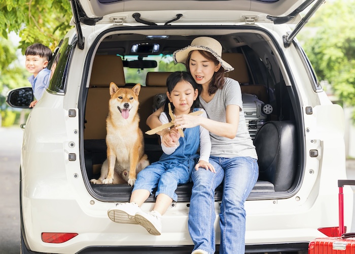 愛犬との旅行は車移動がオススメ