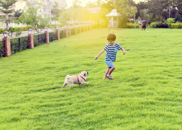 旅先では愛犬と思いっきり遊ぼう! オススメの過ごし方＆お役立ちグッズ