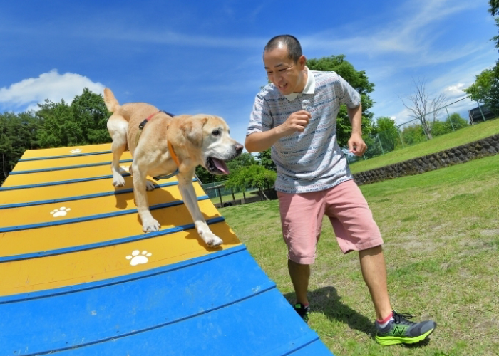 ペット旅行のプロが教える! 愛犬との車旅行にぴったりなドッグラン完備のオススメサービスエリア