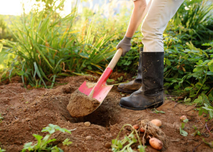 地植えでの家庭菜園に必要な道具 スコップ