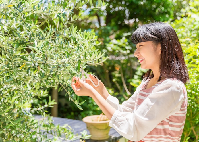 オーガニックな庭は人間や植物、庭に訪れる生き物が共存できる場所