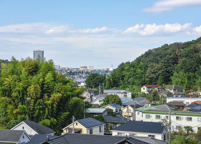 近所を歩いてみて公園や住宅の庭などに植えられている植物を観察