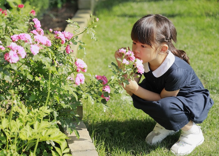 生態系を育むオーガニックな庭で子どもと自然観察