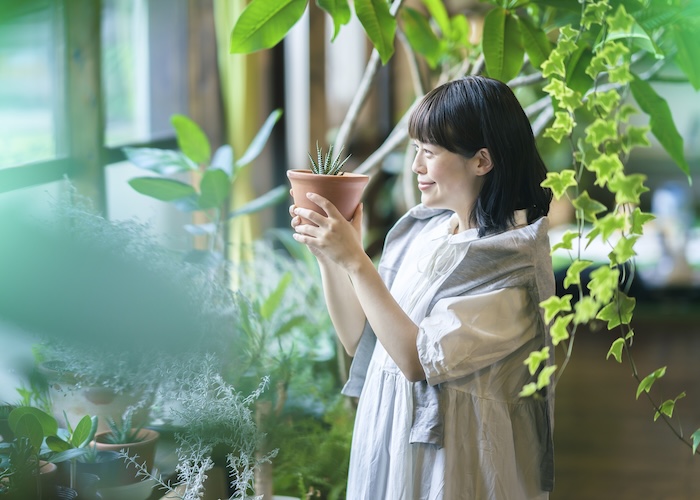 植物のプロに聞く観葉植物の選び方&育て方のポイント