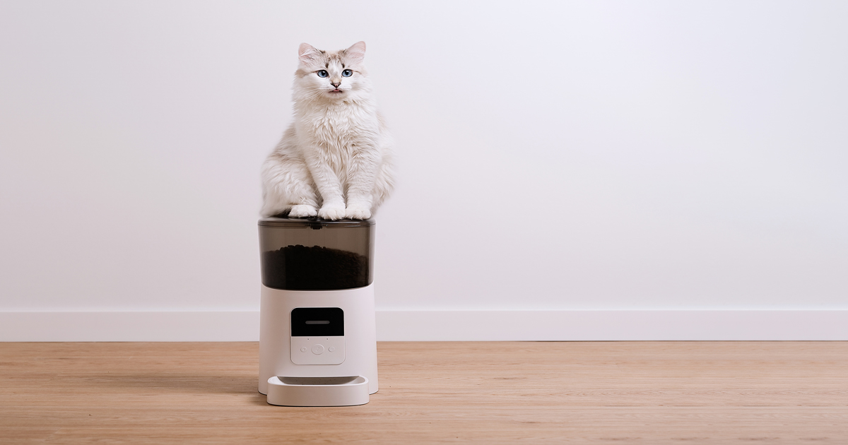 愛猫家の家電アドバイザーに聞く! 最新&定番の猫向けオススメペット家電特集