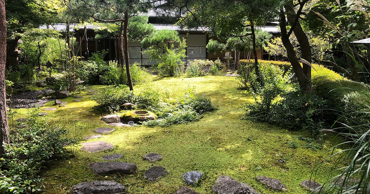 【苔を活かした庭作り】苔栽培のプロが解説する「坪庭」「苔玉」「苔鉢」の作り方