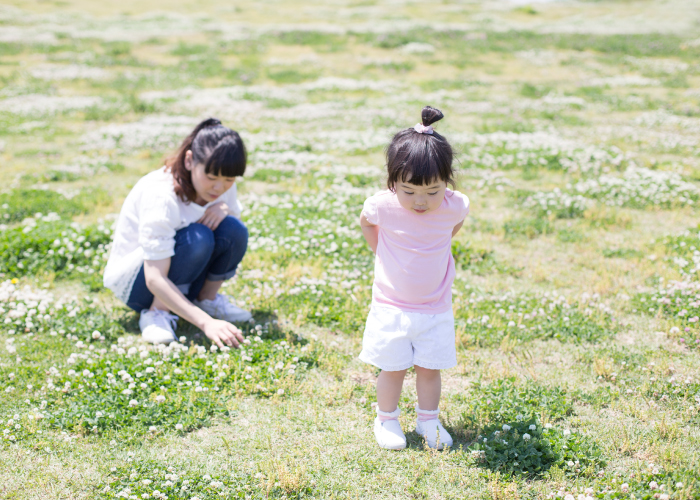 春の河川敷では野の花や野草を観察