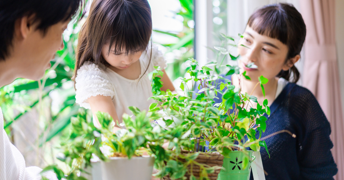 自然観察のプロが解説! 家庭菜園・ガーデニング・プランター栽培で楽しむ五感を使った自然観察