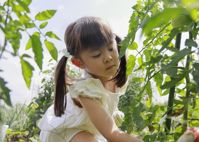 庭・畑・プランターで家庭菜園&自然観察! オススメ野菜と植物とは?