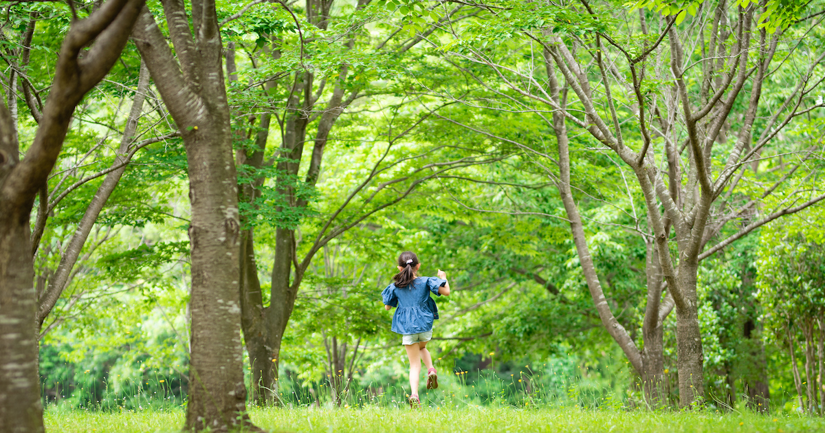 「非認知能力」とは?自然遊びで子どもの「非認知能力」を育む方法を専門家が解説