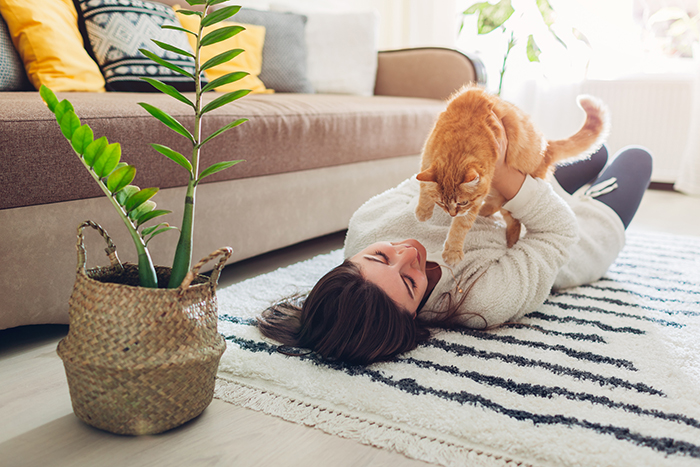 人と猫が快適に暮らすための住まいの工夫