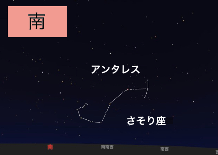 理科の自由研究テーマ例①星空観察　アンタレスは“さそりの心臓”とも呼ばれている