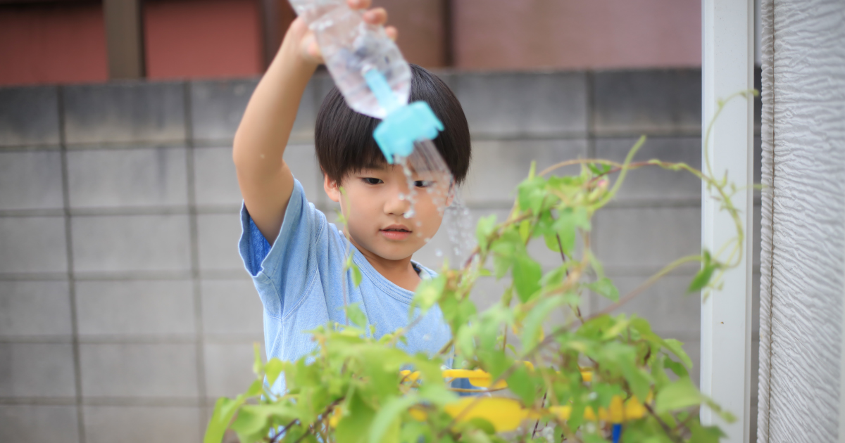 【小学生向け】夏休みの自由研究テーマにオススメ!理科教育のプロが教える観察の世界