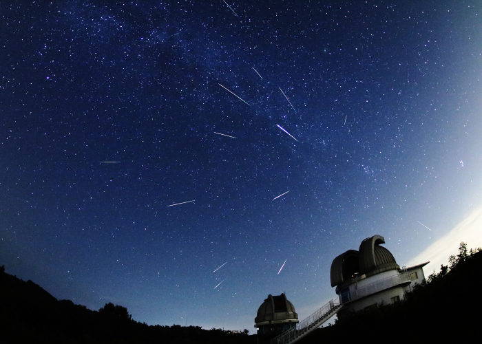 2024年は8月が見頃! 三大流星群のひとつ「ペルセウス座流星群」を観察しよう