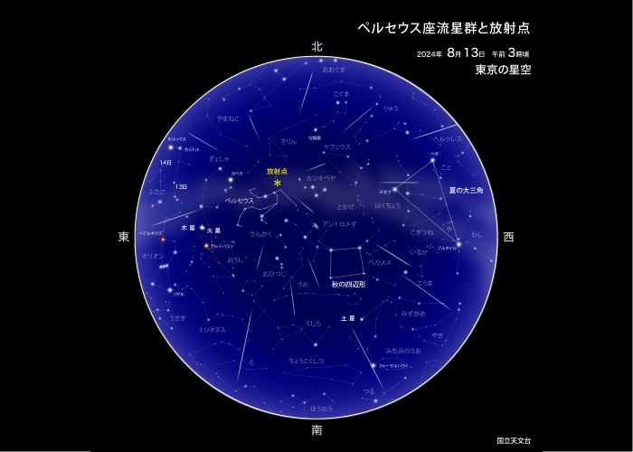 ペルセウス座流星群を観察するコツ