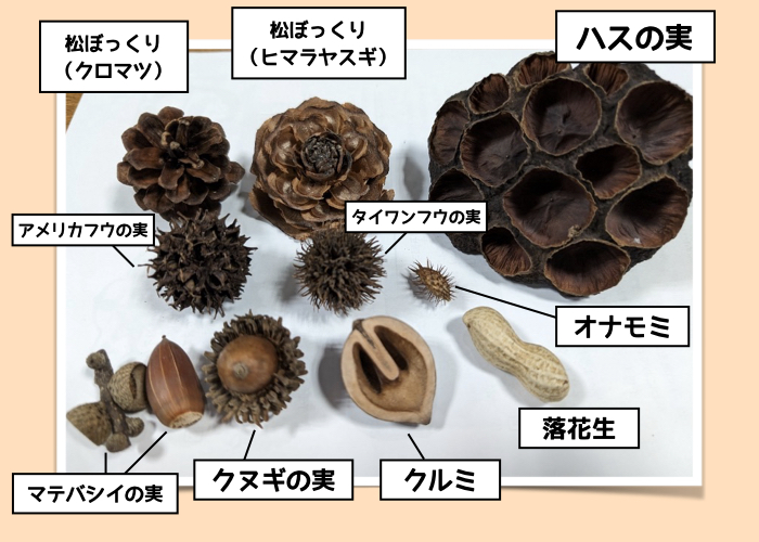 面白い夏休みの自由研究【なんでも炭にしてみよう】用意するもの