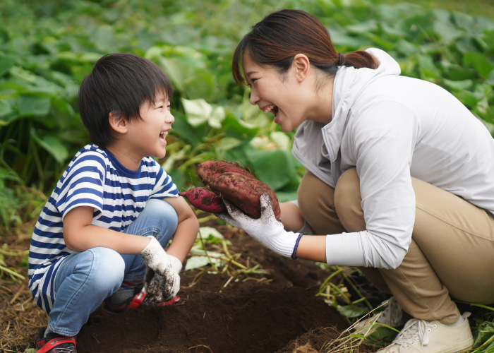 家族の絆が深まる親子ふたり旅のヒント